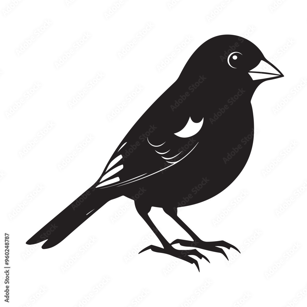 Obraz premium Junco Bird Silhouette Vector on White Background