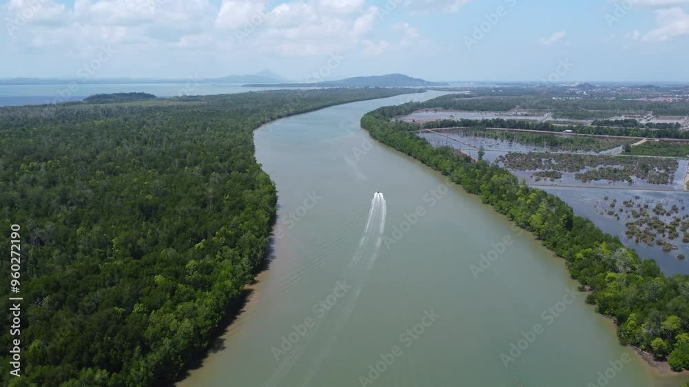 A speedboat speeding through the waters of Kalimantan with views of the forest and winding rivers. A speedboat speeding through the waters of Kalimantan with views of the forest and winding rivers.