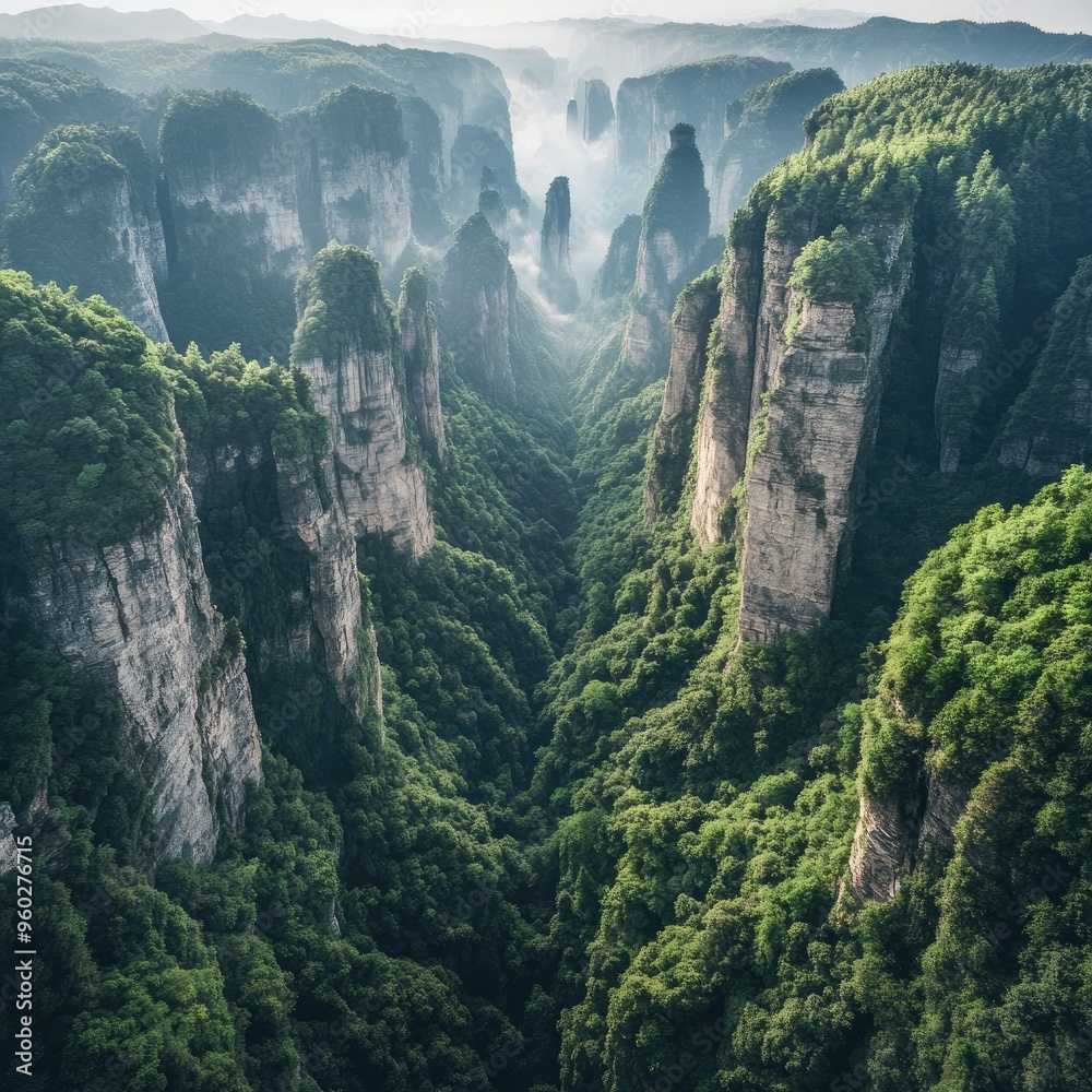 The panoramic view from the top of the Bailong Elevator in Zhangjiajie, looking down on the lush forest and towering cliffs. The panoramic view from the top of the Bailong Elevator in Zhangjiajie, looking down on the lush forest and towering cliffs.