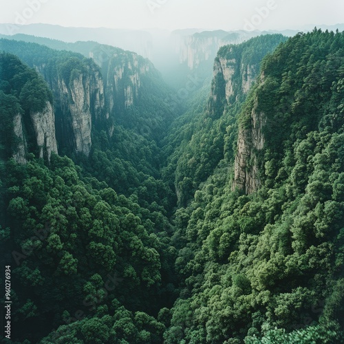 The panoramic view from the top of the Bailong Elevator in Zhangjiajie, looking down on the lush forest and towering cliffs. photo