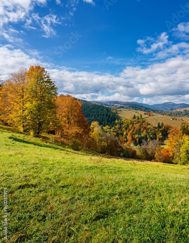 Best Colorful autumn landscape. Autumn colors in beautiful nature. Forest view in fall season.