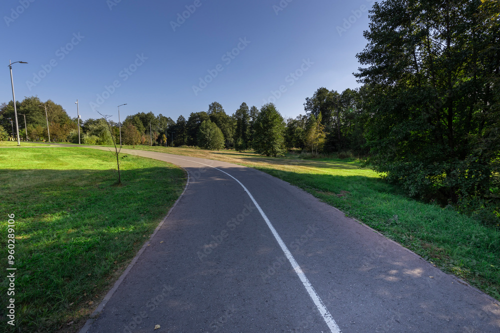 Naklejka premium A road with a white line down the middle and trees on both sides