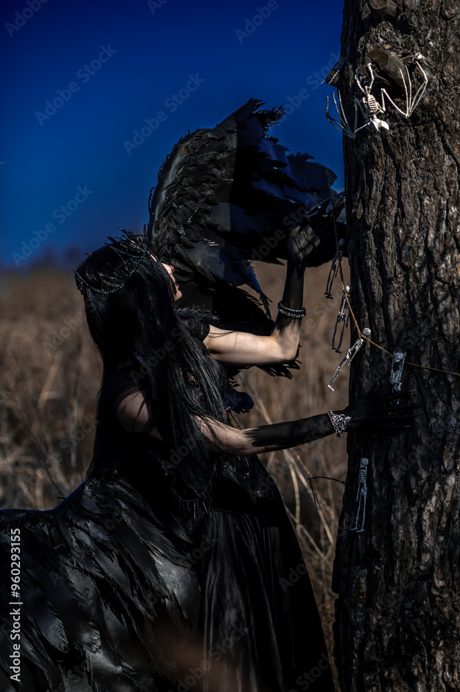 Naklejka premium Goddess of death with black wings on a dried field