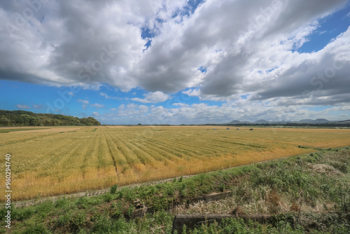 Oita Field Farm, Cultivating Yufuin Sustainable Agriculture May 16 2024