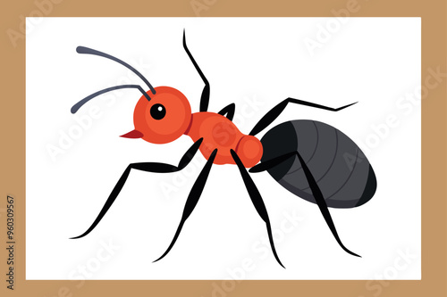 An Ant vector illustration