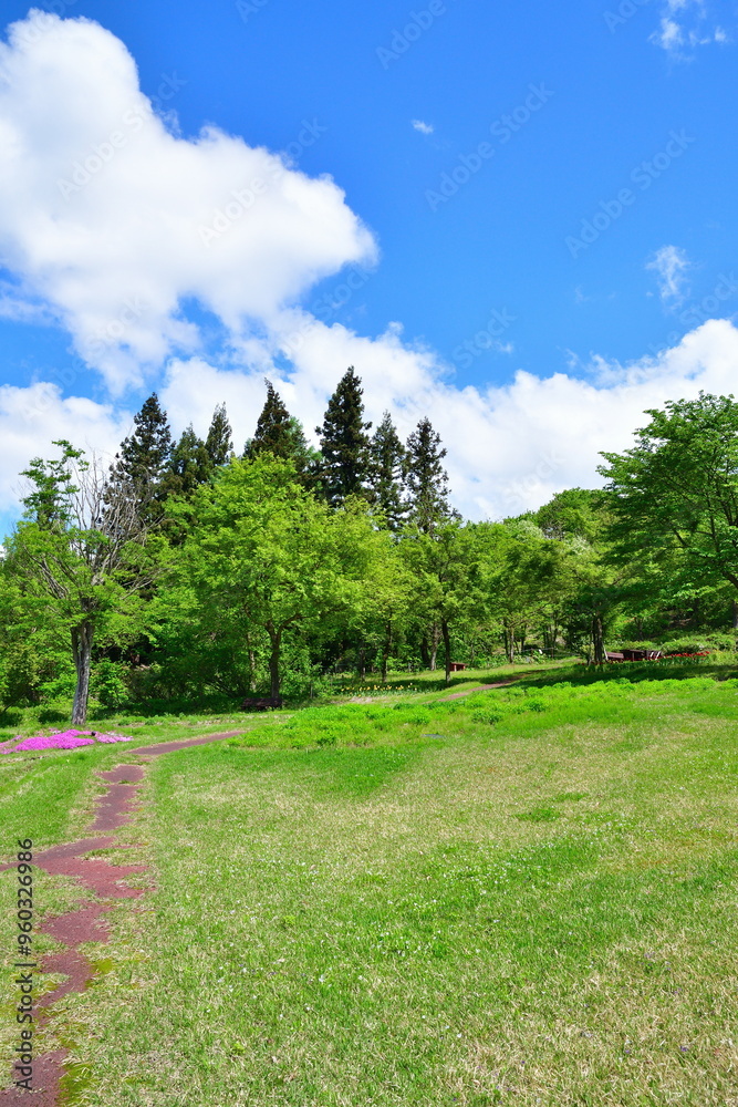 根小屋 花と緑と雪の里(新潟県) 根小屋 花と緑と雪の里(新潟県)
