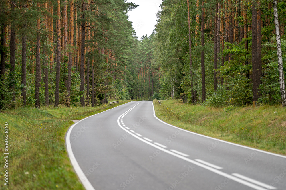 Naklejka premium An asphalt road going through a forest in Masuria