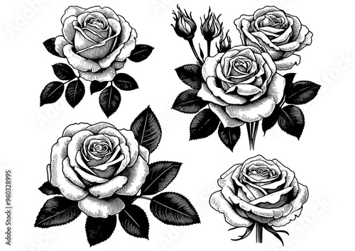 Wallpaper Mural Set of various roses and leaves, tattoo design, elegance and beauty of classic floral designs sketch engraving generative ai PNG illustration. Scratch board imitation. Black and white image Torontodigital.ca