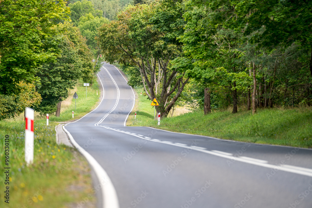 Fototapeta premium An asphalt road going through a forest in Masuria