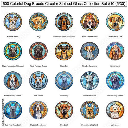 Colorful Dog Breeds Circular Stained Glass Dogs Bundle Collection Set 10 of 600 Dog Faces Isolated Part 5