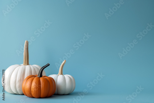 Minimalist fall decor with white and orange pumpkins on a light blue background for the Thanksgiving season, copy space.