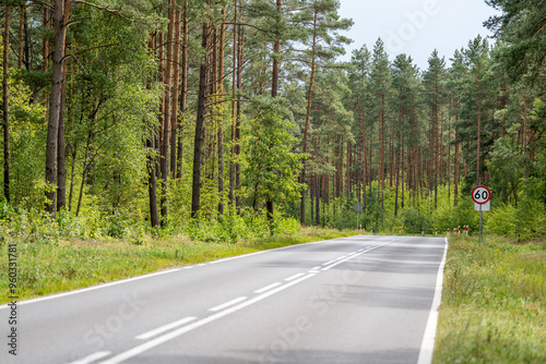 Fototapeta Naklejka Na Ścianę i Meble -  An asphalt road going through a forest in Masuria
