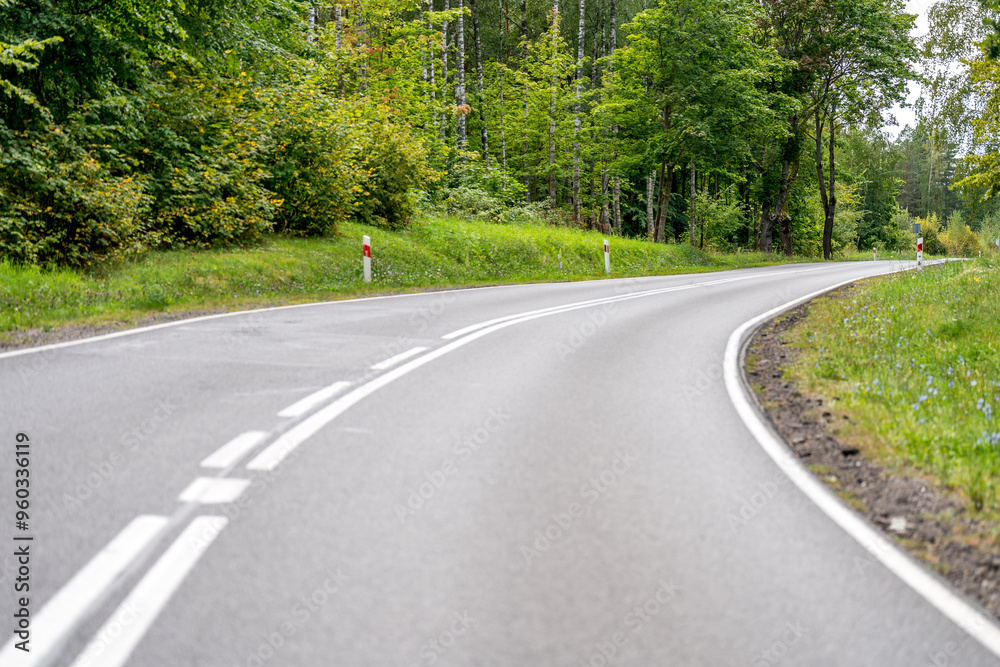 Fototapeta premium An asphalt road going through a forest in Masuria