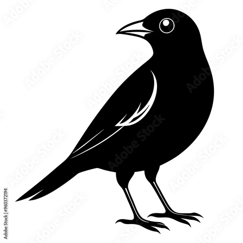 Myna Black silhouette