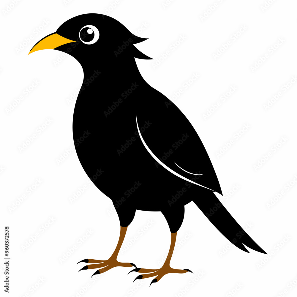 Obraz premium Myna Black silhouette