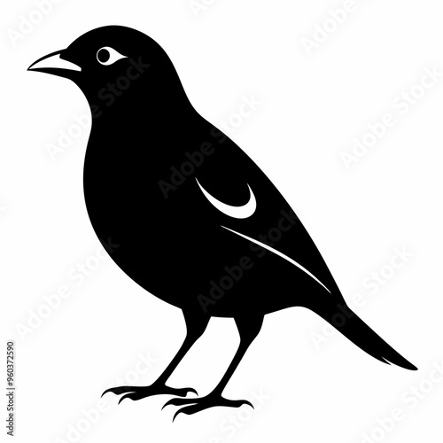 Myna Black silhouette