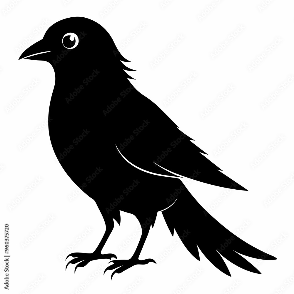 Fototapeta premium Cuckoo Black silhouette