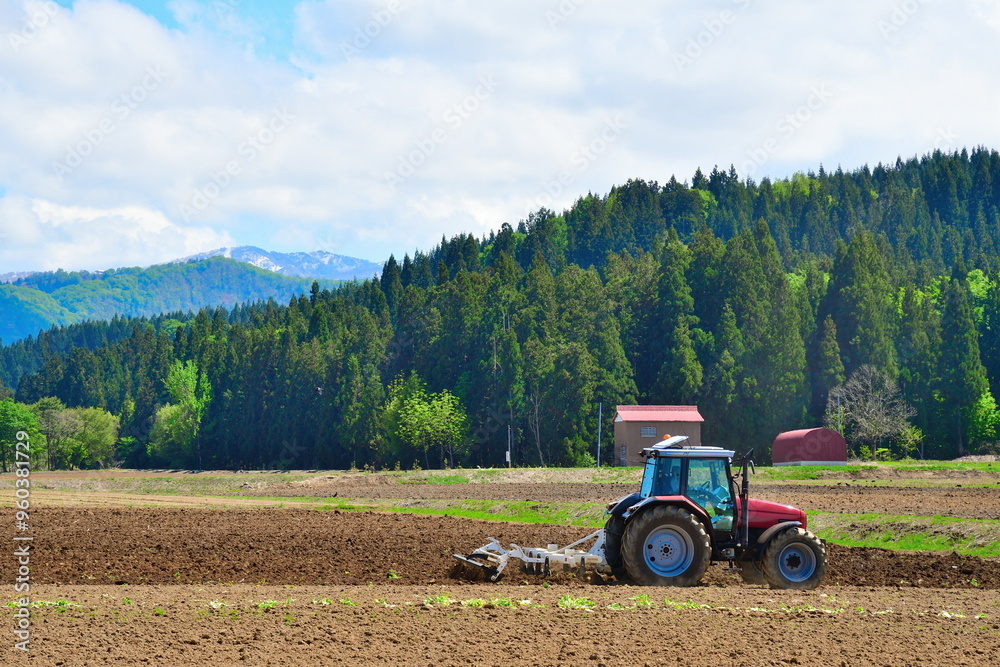 Obraz premium 農作業風景 種まき(新潟県)