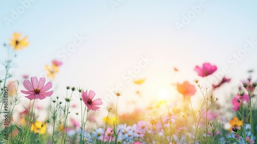 Fototapeta Naklejka Na Ścianę i Meble -  Beautiful wildflowers blooming in a sunlit meadow against a clear blue sky, creating a serene and vibrant nature scene.