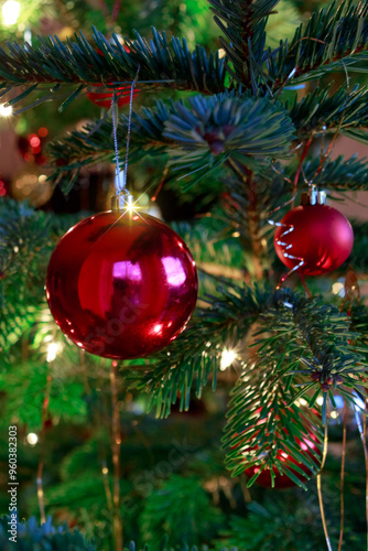 Christmas and New Years Eve background with fir tree and red decoration.