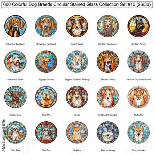 Colorful Dog Breeds Circular Stained Glass Dogs Bundle Collection Set 10 of 600 Dog Faces Isolated Part 26 photo