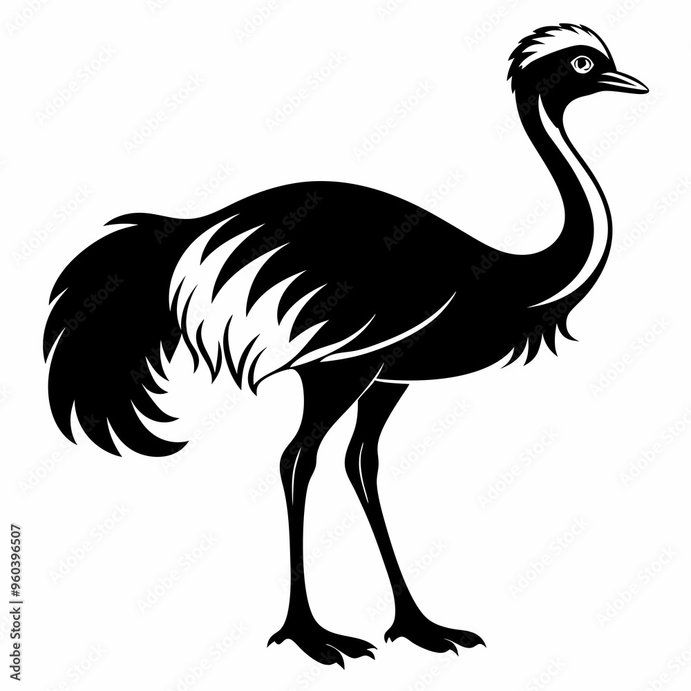 Ostrich Black silhouette Ostrich Black silhouette