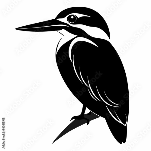 Kingfisher Black silhouette