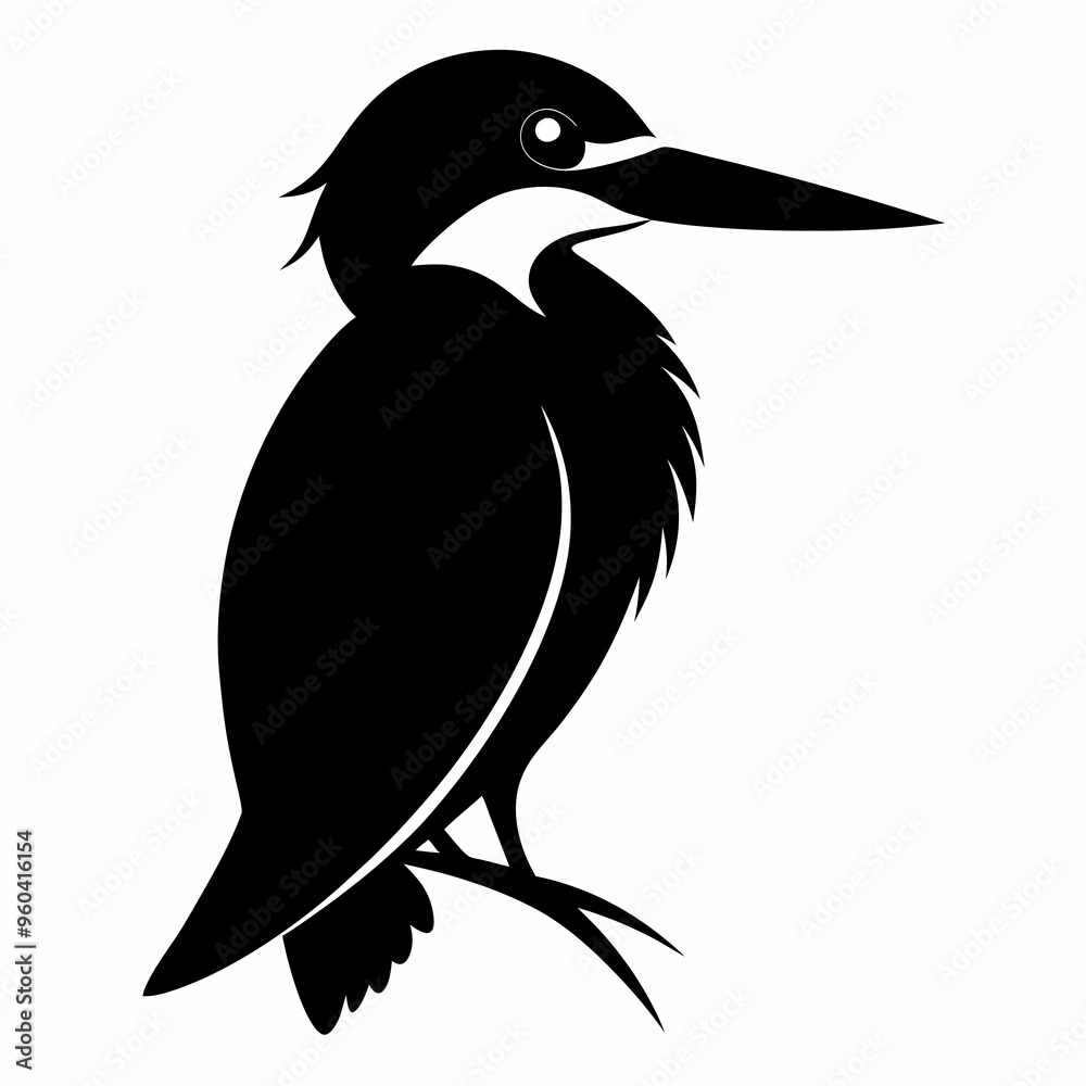 Fototapeta premium Kingfisher Black silhouette