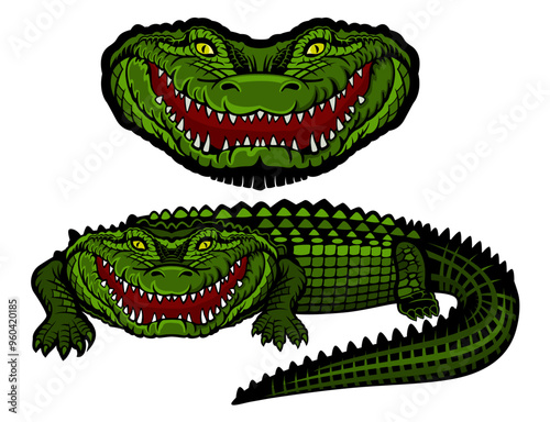 color aligator only head and with body.eps