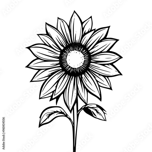 black and white flower