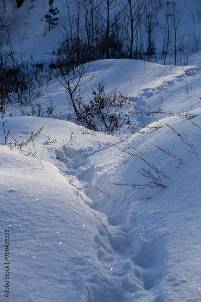 Obraz premium Footprints on the sparkling and white snow