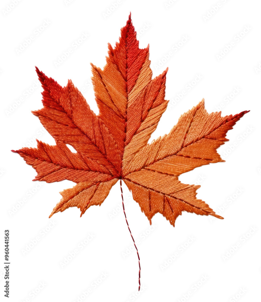 PNG Autumn leave in embroidery style leaves maple plant. PNG Autumn leave in embroidery style leaves maple plant.