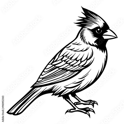 Download Cardinal Bird Vector Art Illustration Svg File For Design.