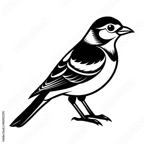 Download Jay Bird Vector Art And Illustration Svg File For Design. photo