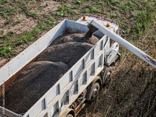 Close up combine harvester unloads a bin of high oleic sunflower seeds into trailer. European Agricultural Guarantee Fund