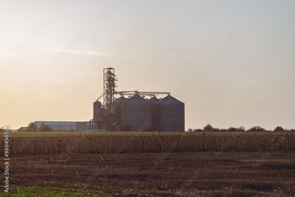Fototapeta premium Modern metal agro silos granary elevator for agricultural products, flour, cereals and grain silhouette against the sunset sky