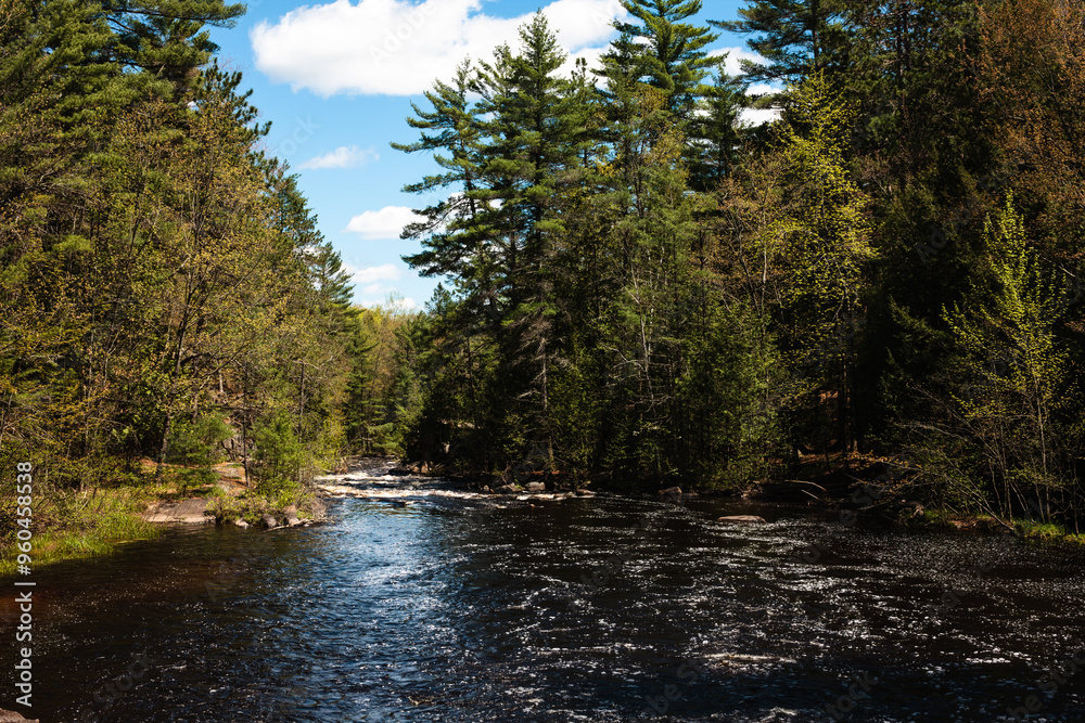 The Pike River between the Upper Falls and the Chute at Dave's Falls Marinette County Park, Amberg, Wisconsin in mid-May, looking downriver at the entrance of the Chute The Pike River between the Upper Falls and the Chute at Dave's Falls Marinette County Park, Amberg, Wisconsin in mid-May, looking downriver at the entrance of the Chute