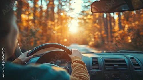 Person Driving Through a Forest of Fall Colors