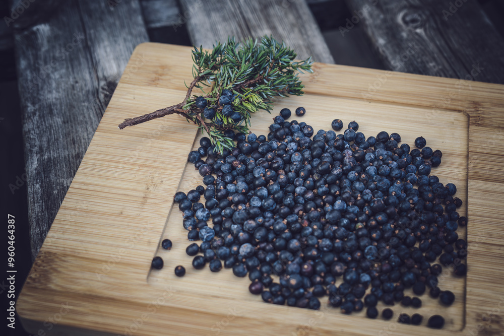 ripe juniper berries, a special spice from the wild nature ripe juniper berries, a special spice from the wild nature