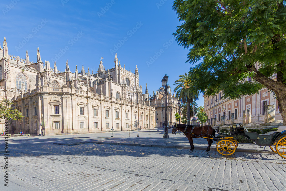 Fototapeta premium Horse-drawn carriage standing in shade at Plaza del Triunfo with part of Cathedral of Santa María de la Sede against blue sky in background, huge green leafy tree, sunny day in Seville, Spain