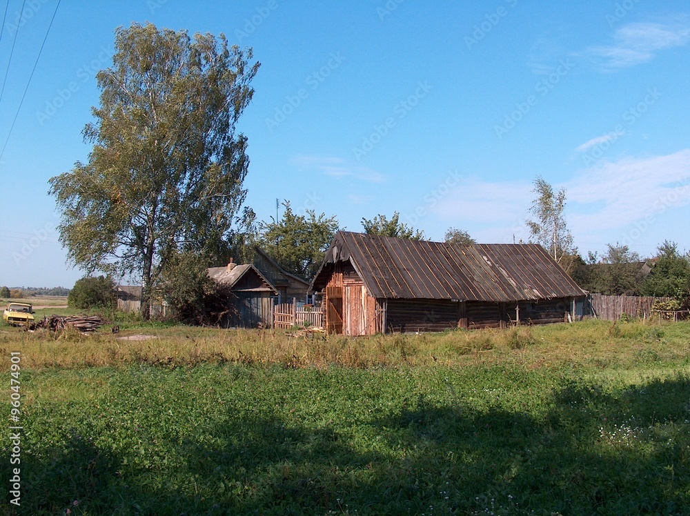 Belarus, village, field, gardens, houses, roads, sidewalks, trees, flowers, river, forest, pine trees, spruce, meadows, pasture, huts, fence, well Belarus, village, field, gardens, houses, roads, sidewalks, trees, flowers, river, forest, pine trees, spruce, meadows, pasture, huts, fence, well