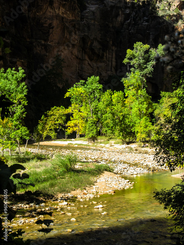 Принти на полотні Vibrant green riverine woodland on the banks of the Virgin River with the steep cliffs in the background in the shadow