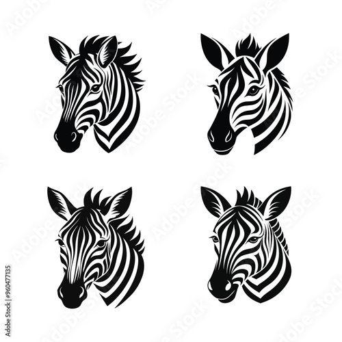 zebra  head vector illustration