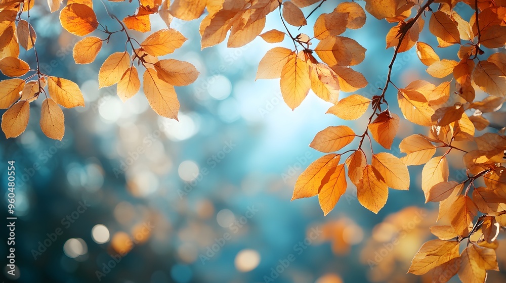 A calm fall day with golden leaves and clear blue skies, perfect for creating a natural and vibrant autumn background. A calm fall day with golden leaves and clear blue skies, perfect for creating a natural and vibrant autumn background.