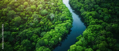 Serene Aerial View of Winding River Meandering Through Lush Forest Canopy