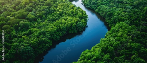 Serene Aerial View of a Winding River meandering through Dense Green Forest Canopy