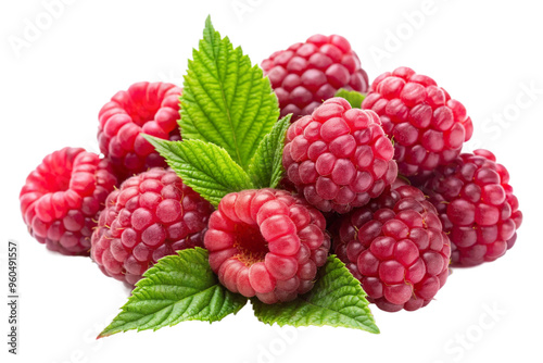 Ripe Group of Raspberries Harvested at Their Peak