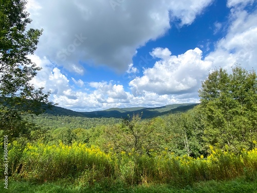 Картината върху платно Beautiful green valley of rolling hills under blue sky with fluffy clouds