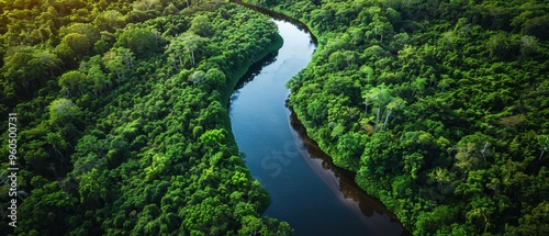 Serene Aerial Perspective of Meandering River Through Lush Forest Canopy