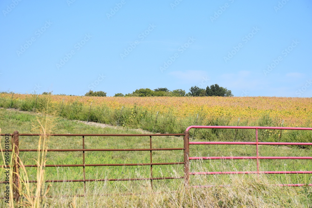 Farm Field Farm Field